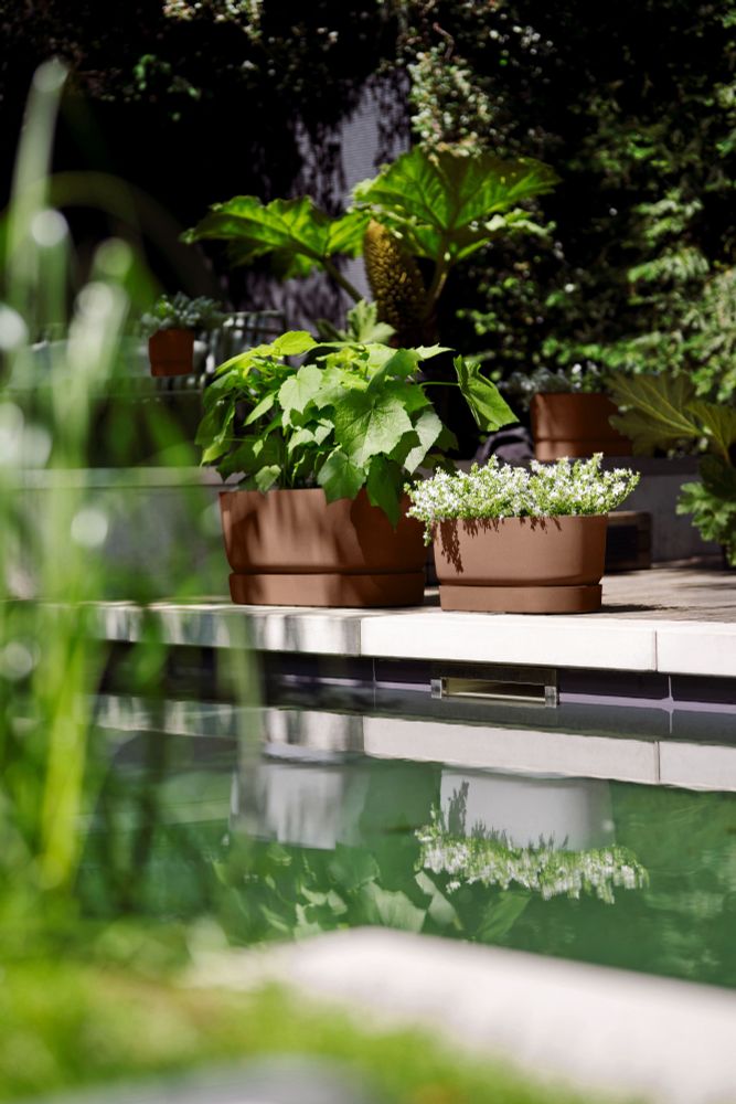 Greenville Terrase 80 Roues