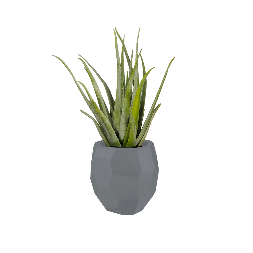 Pure Edge 47