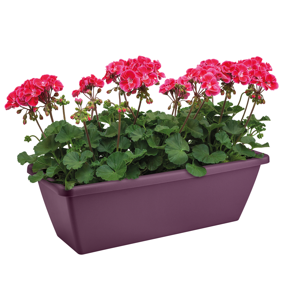 Barcelona Balconnière 70