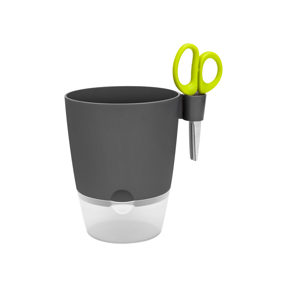 Brussels Herbes Allin1 13