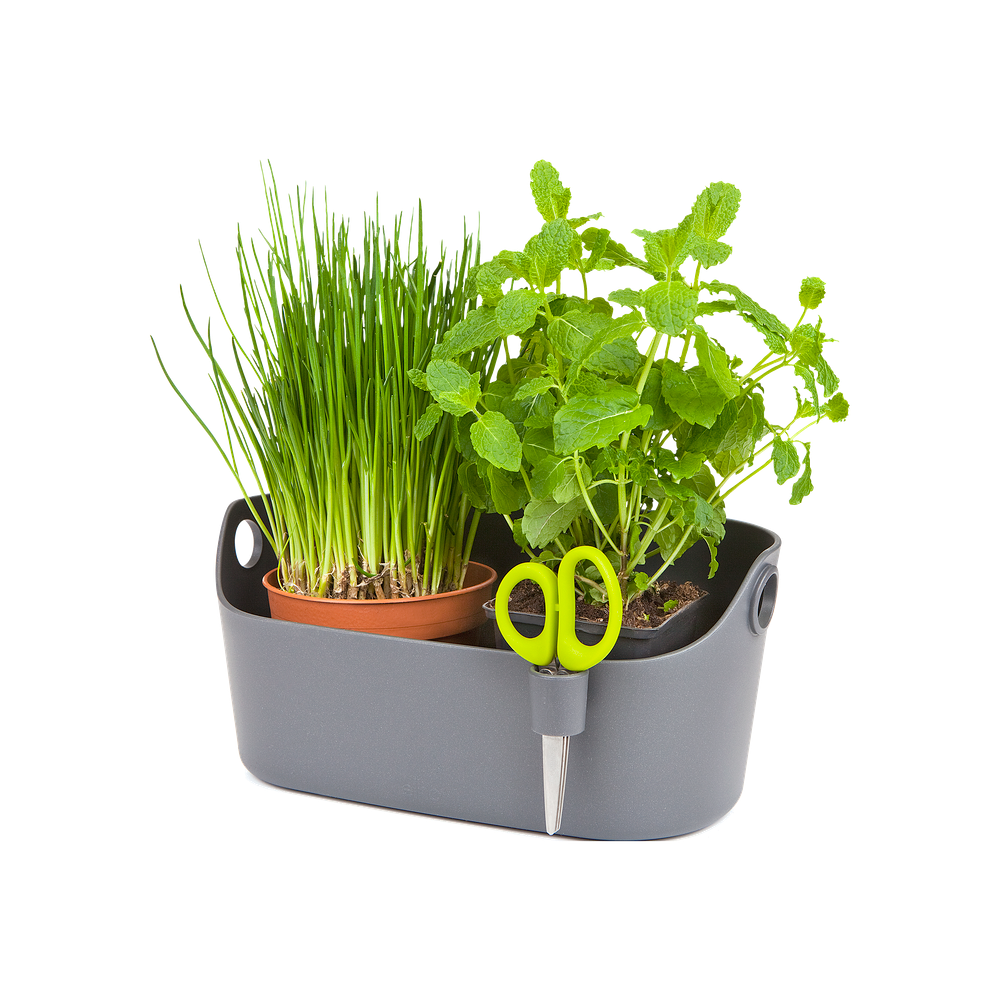 Brussels Herbes Station 30