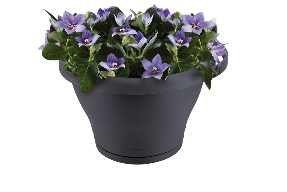 Corsica Pot Gouttière 24