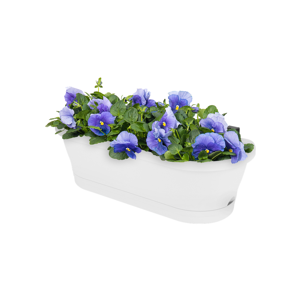 Corsica Easy Balconnière 60