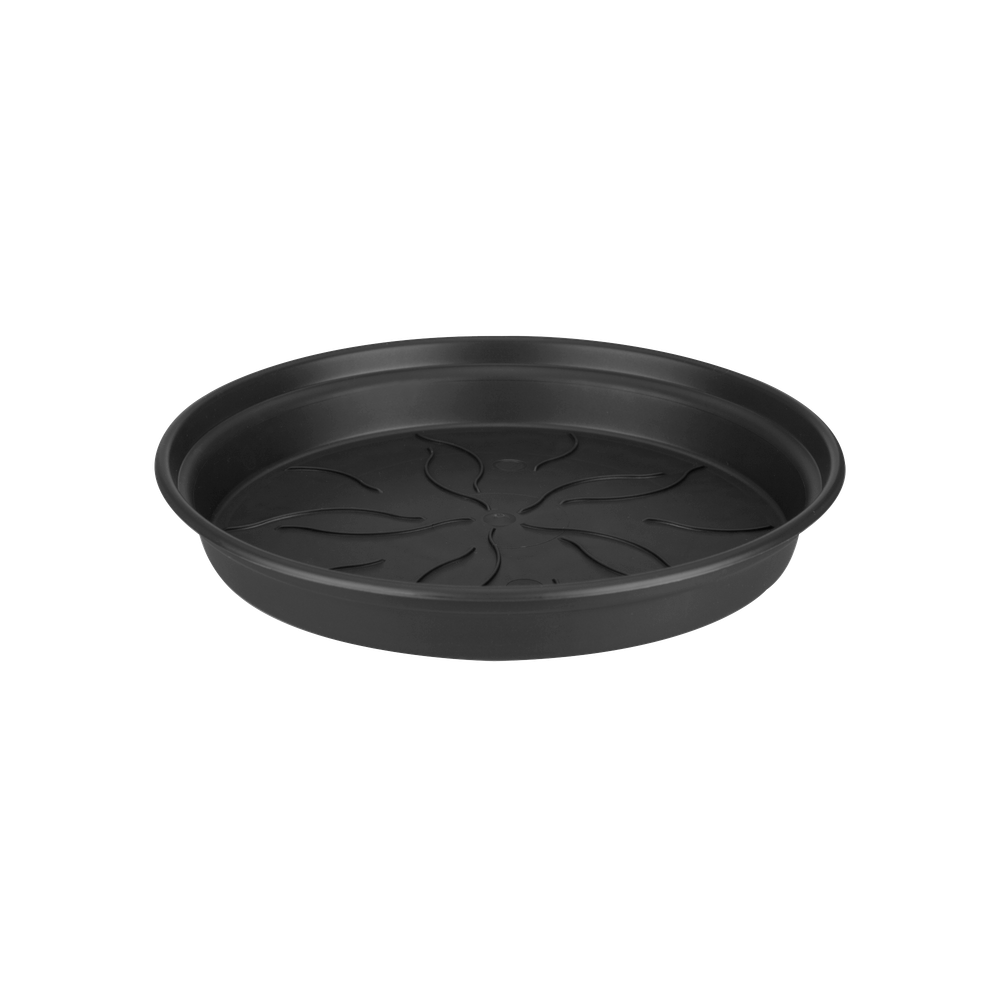 Green Basics Soucoupe 41
