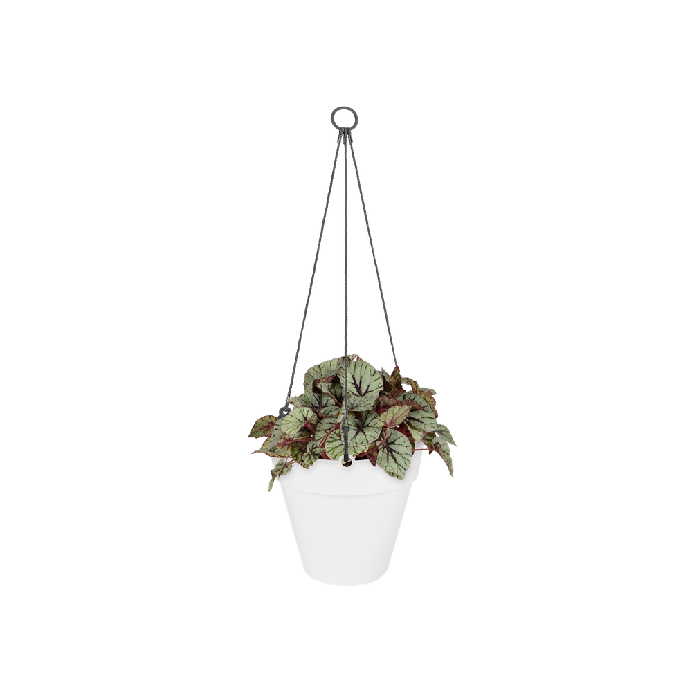 Loft Urban Suspension 20