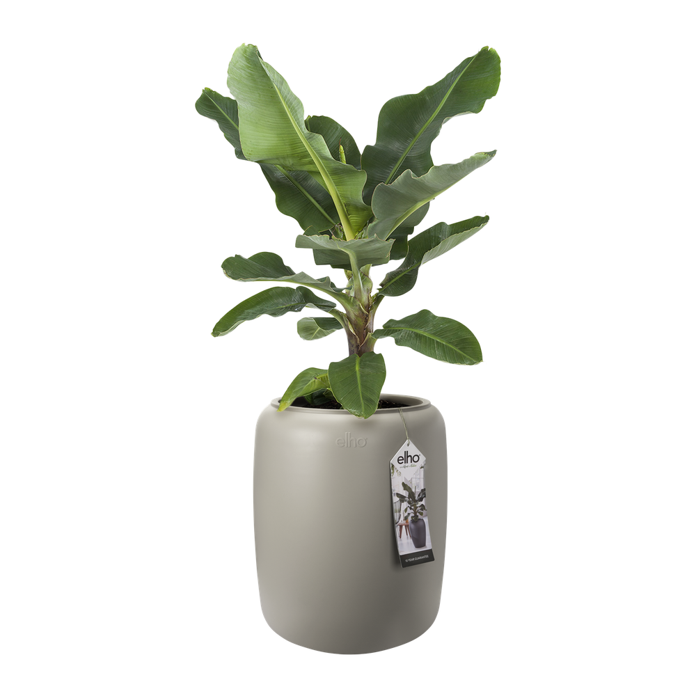 Pure Beads Medium 40