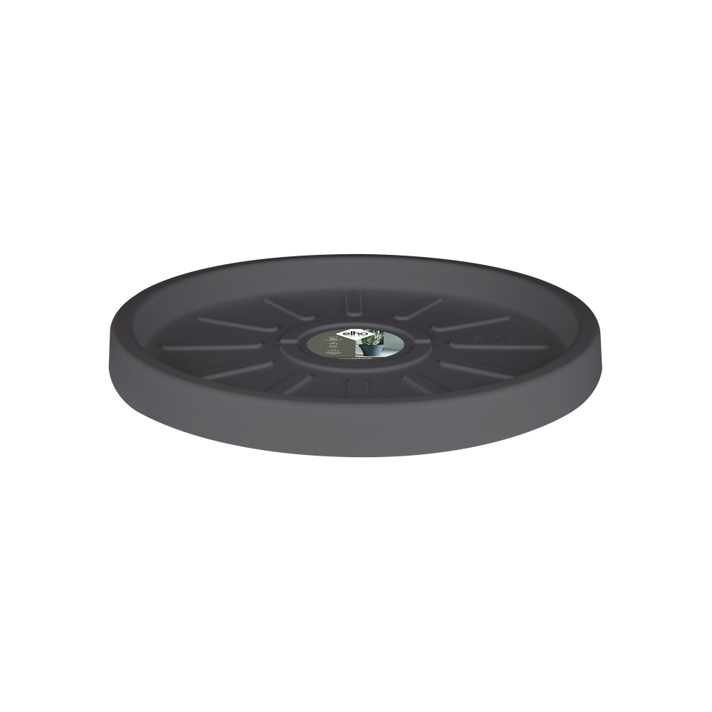 Pure Saucer 37
