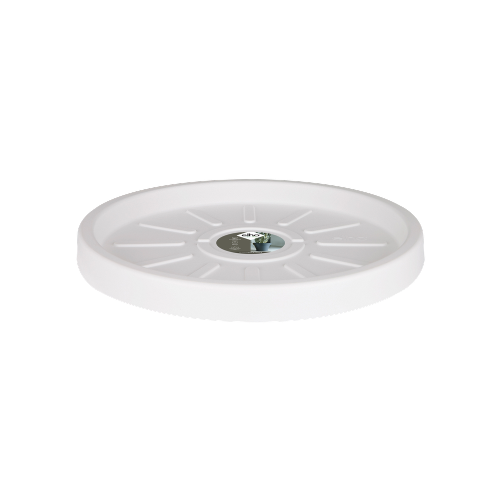 Pure Saucer 25
