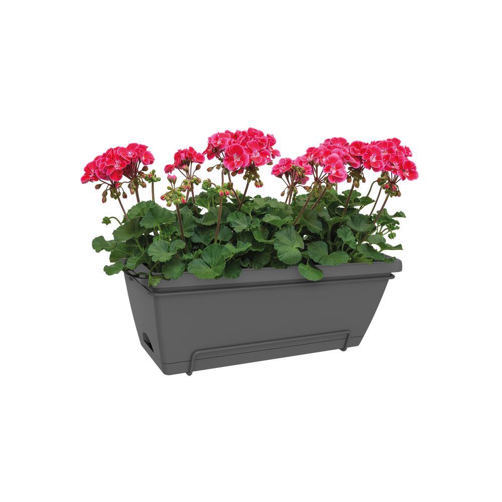 Barcelona Xl Allin1 55