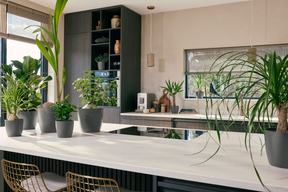 The Coffee Collection Ronde 22