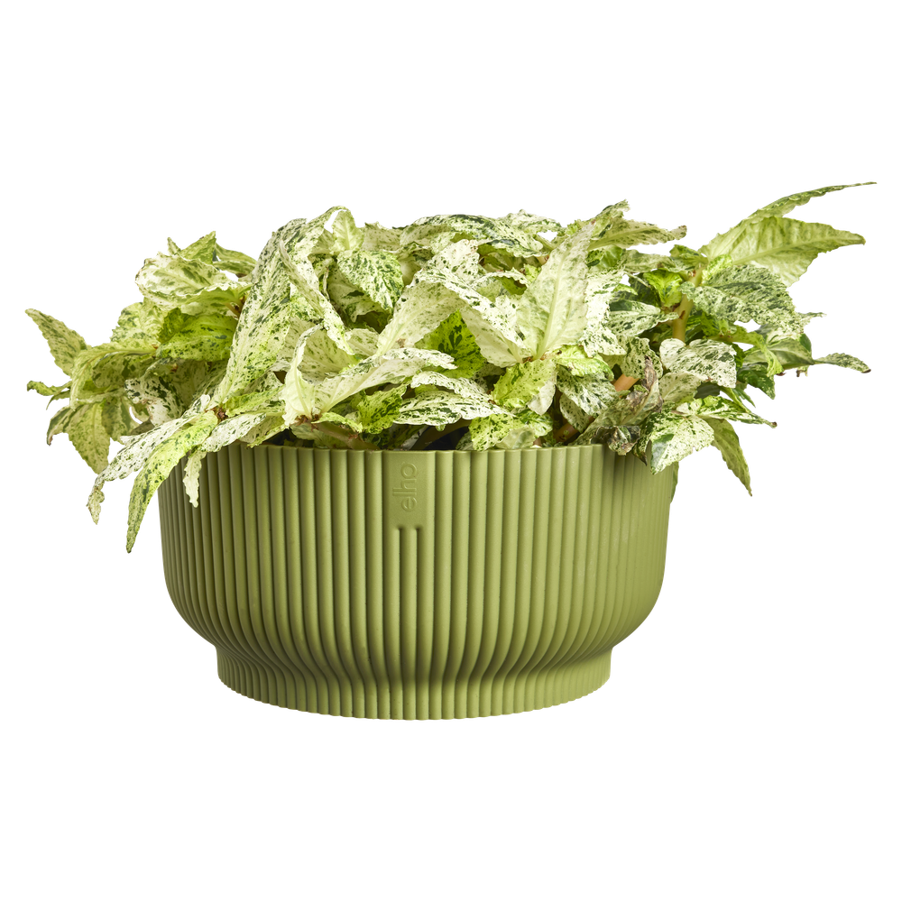Vibes Fold Bowl 25