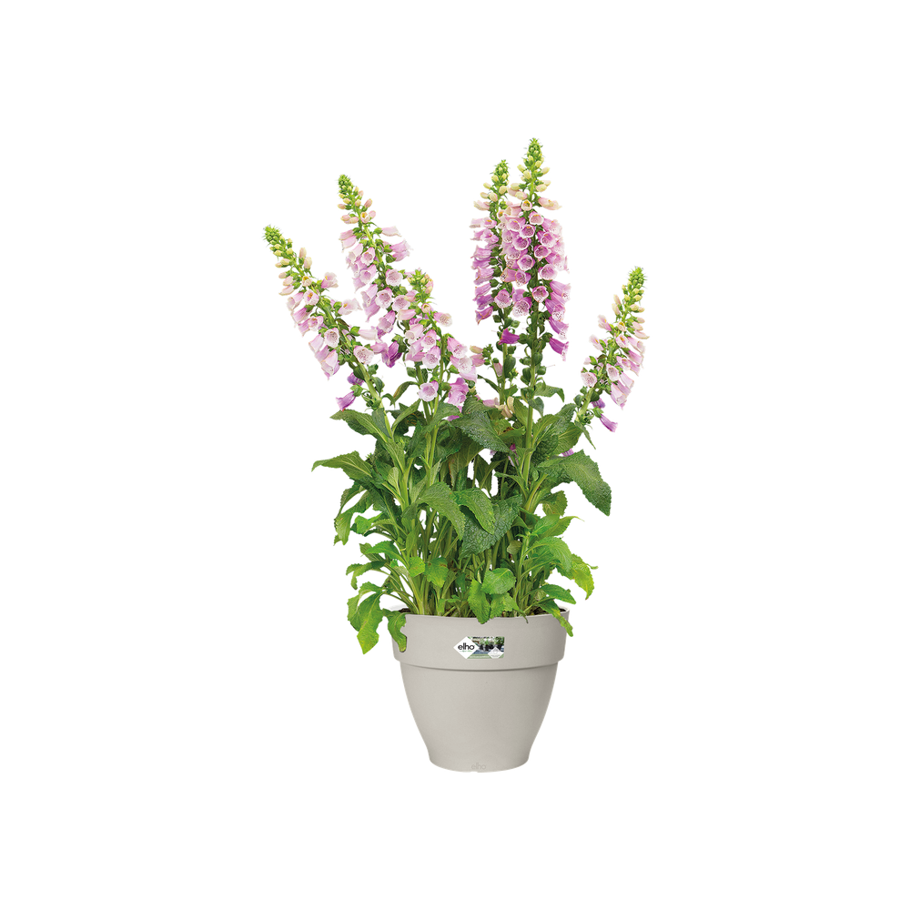 Vibia Campana 30
