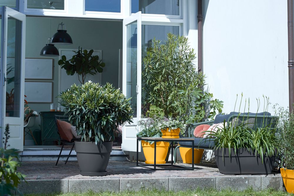 Vibia Campana Coupe 34