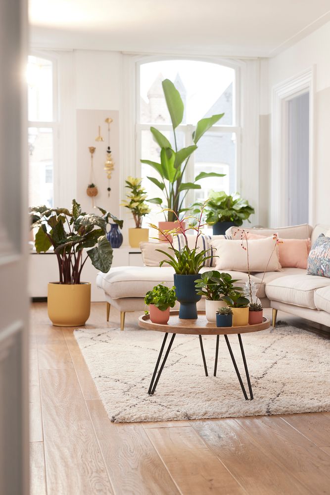 Vibes Fold Rond Roues 35