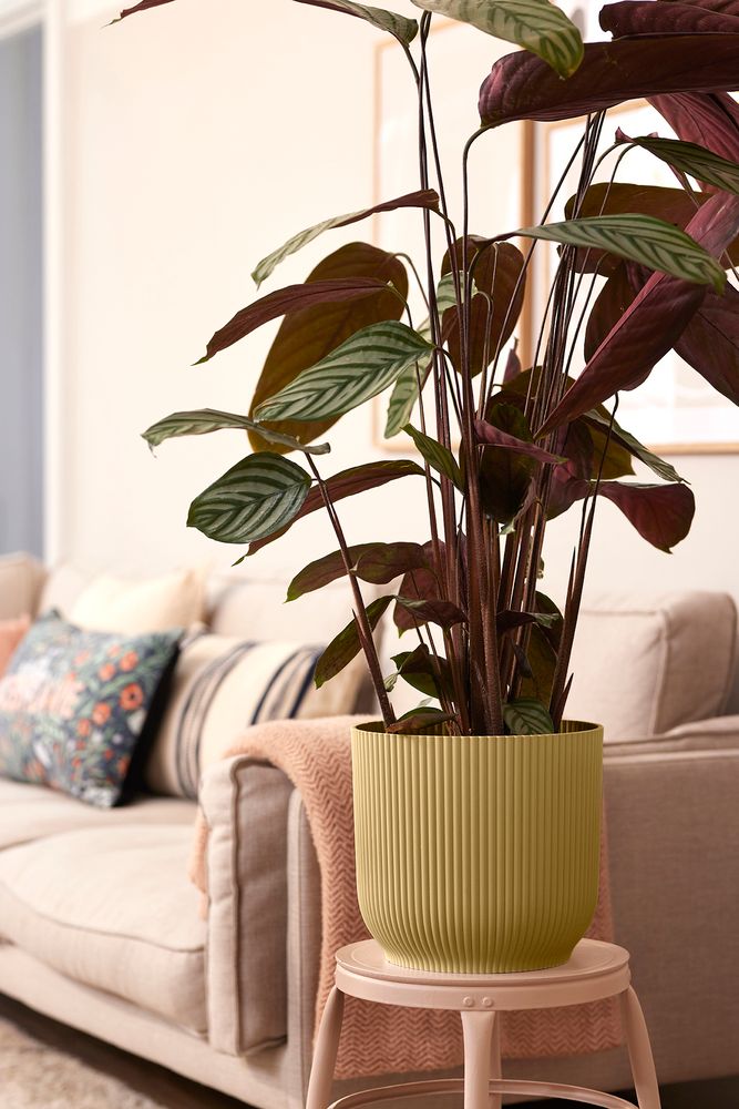 Vibes Fold Rond Roues 35