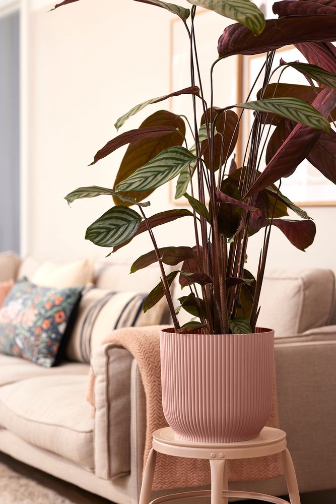 Vibes Fold Rond Roues 35