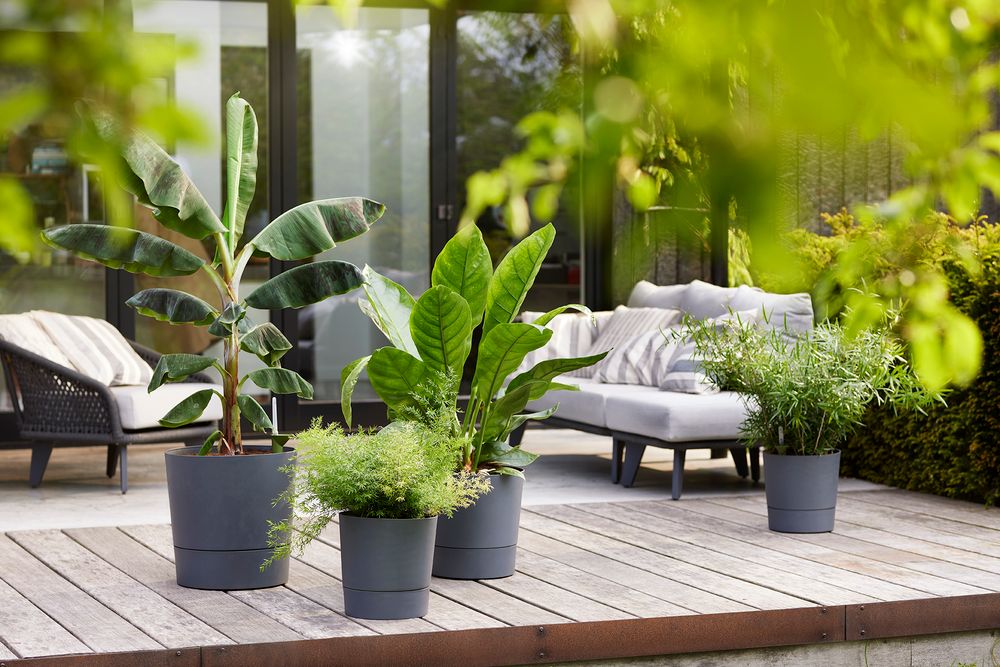 Greensense Aqua Care Rond 43