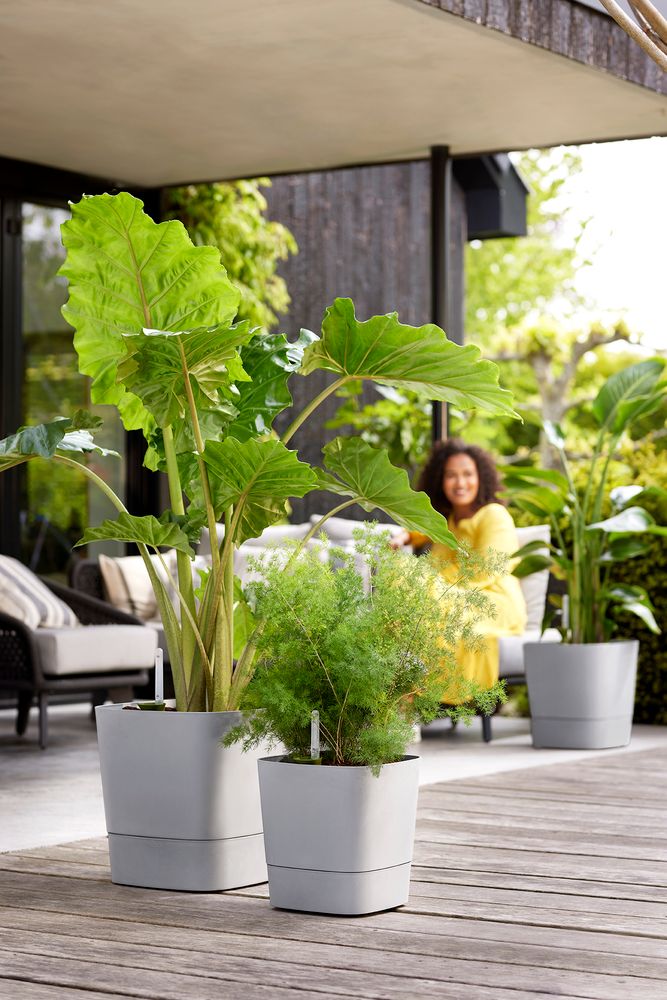 Greensense Aqua Care Carré 38
