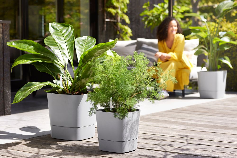 Greensense Aqua Care Carré 38