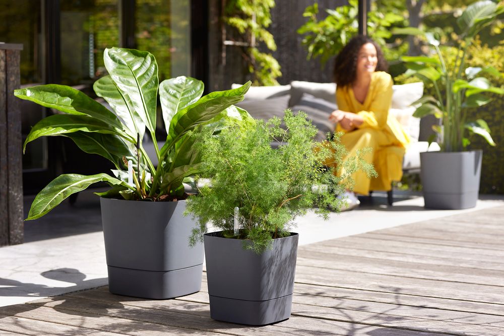 Greensense Aqua Care Carré 38