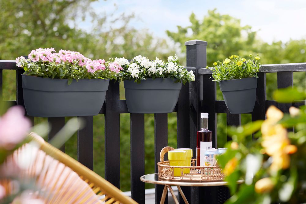 BNDL Vibia C. Easy Hanger L X 2