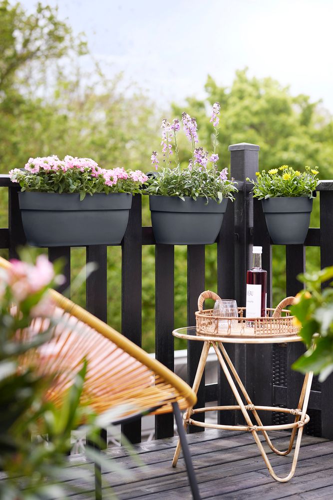 BNDL Vibia C. Easy Hanger L X 2