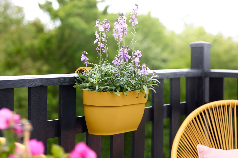 Vibia Campana Easy Hanger Medium