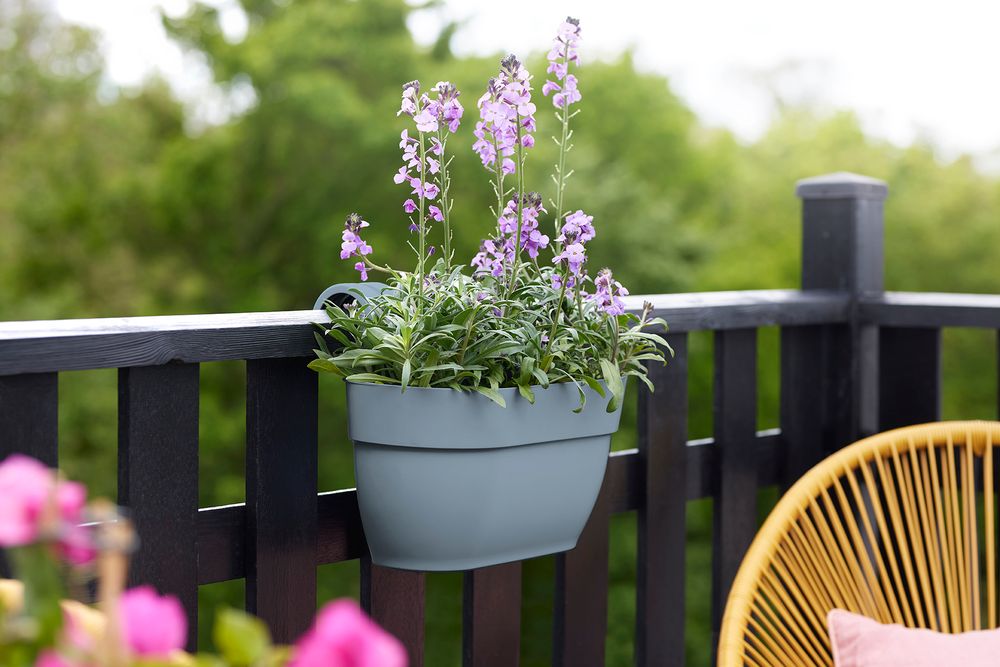 Vibia Campana Easy Hanger Medium