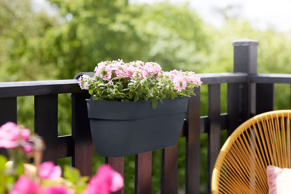 BNDL Vibia C. Easy Hanger L X 2