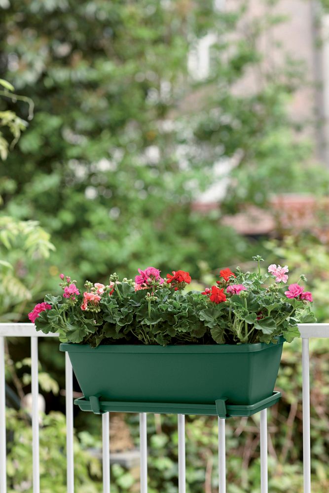 Barcelona Balconnière 50