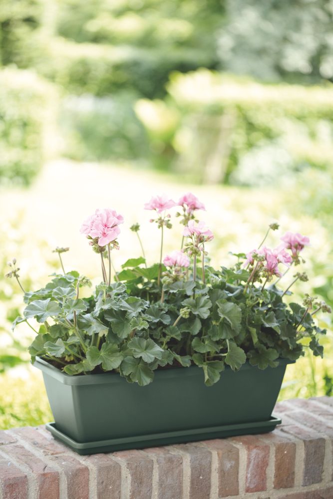 Barcelona Balconnière 50