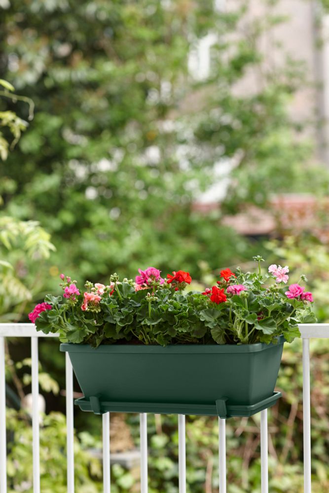 Barcelona Balconnière Soucoupe 50