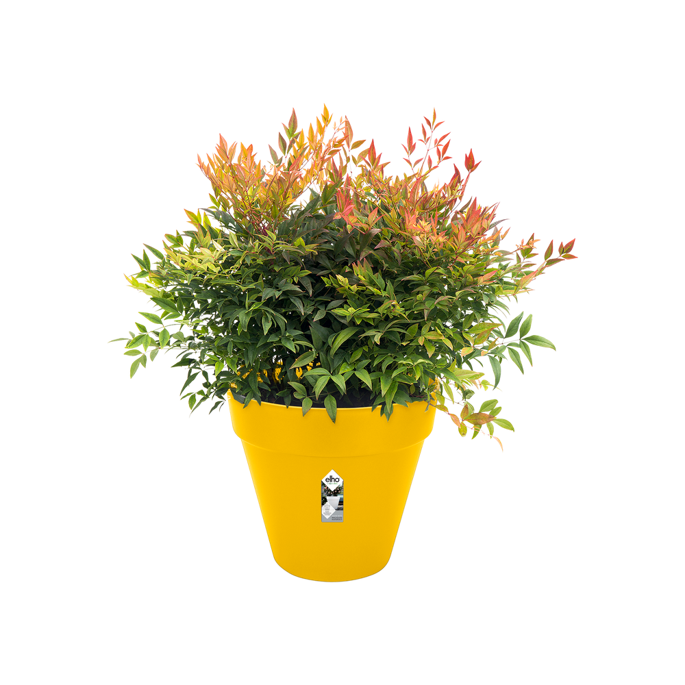 Loft Urban Rond Roues 50