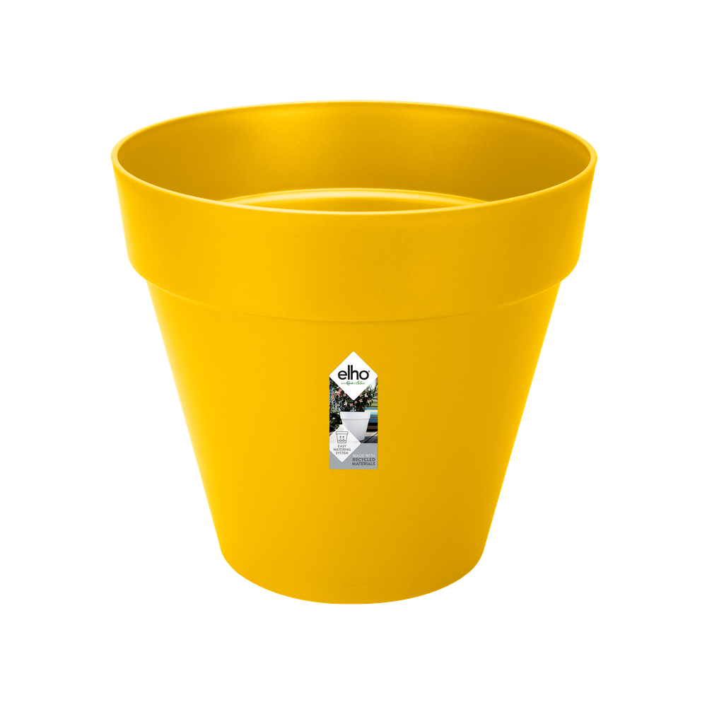 Loft Urban Rond Roues 50