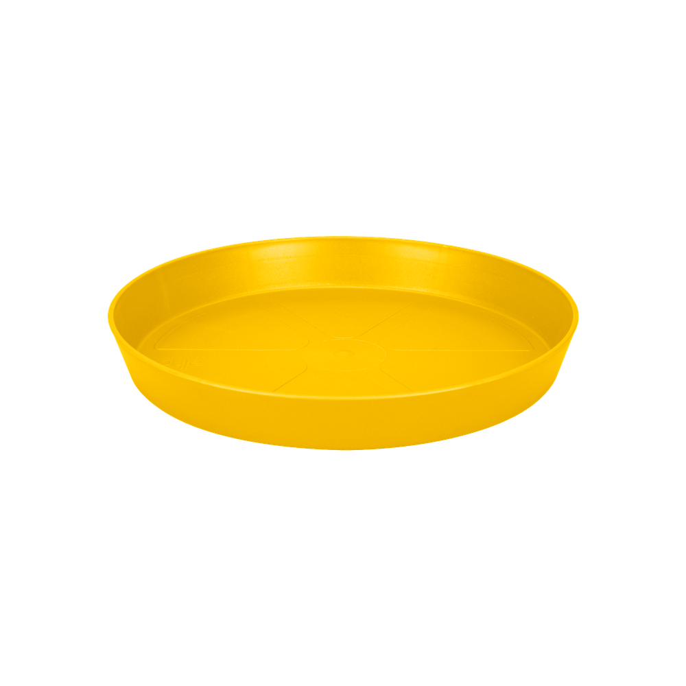 Loft Urban Soucoupe Ronde 34