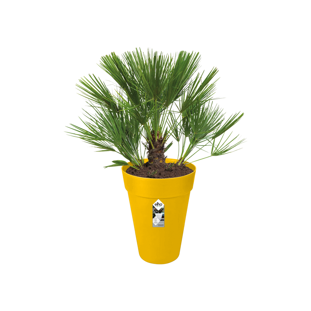 Loft Urban Rond Haut 35