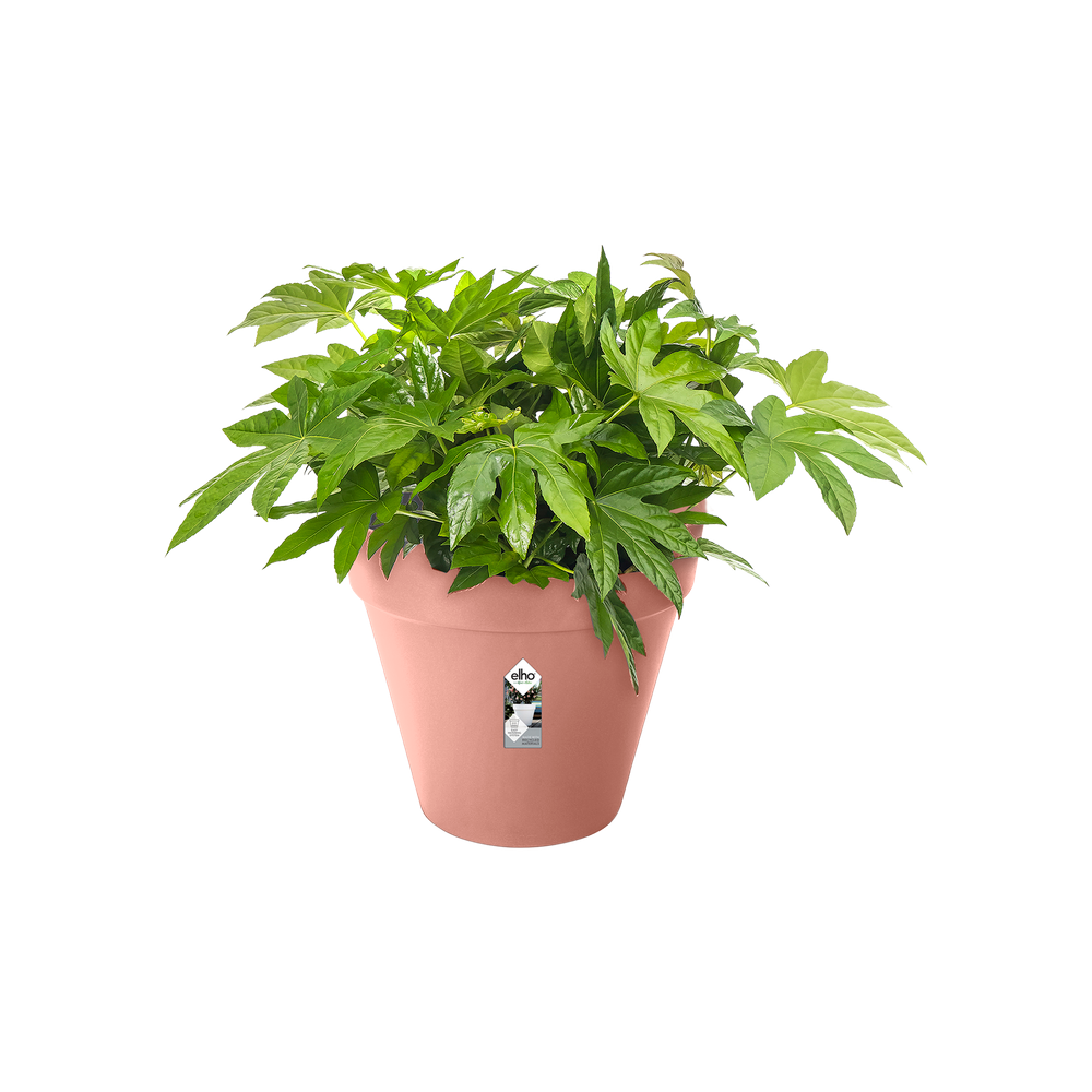 Loft Urban Rond Roues 50