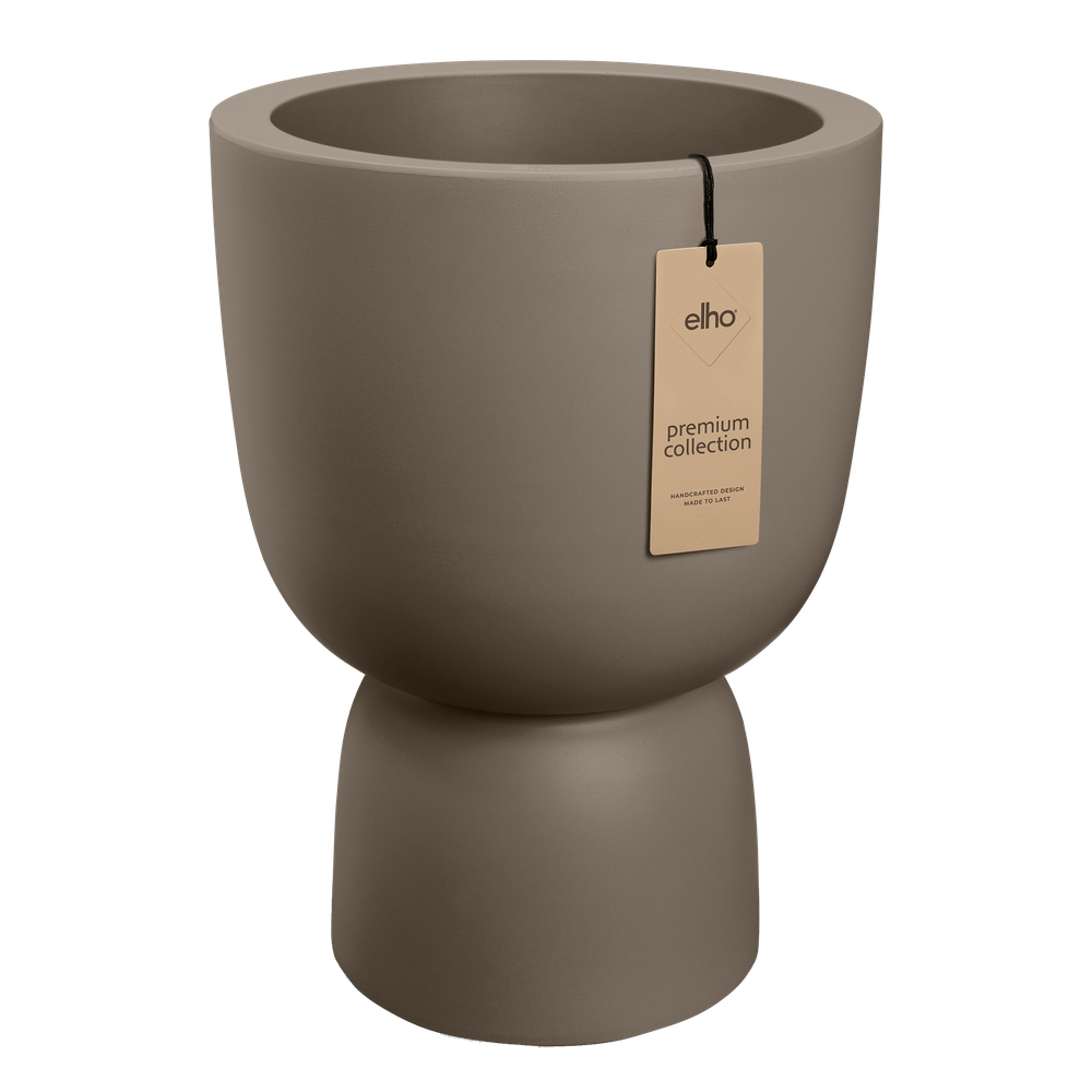 Amber Coupe 35