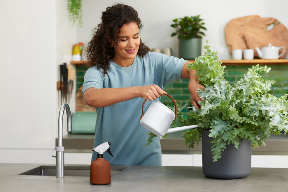 B.for Soft Arrosoir 1,7ltr