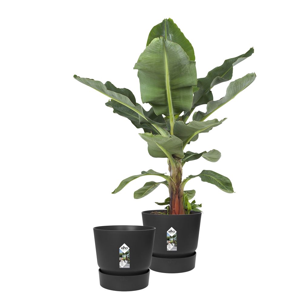 BNDL Greenville Ronde 30 X2