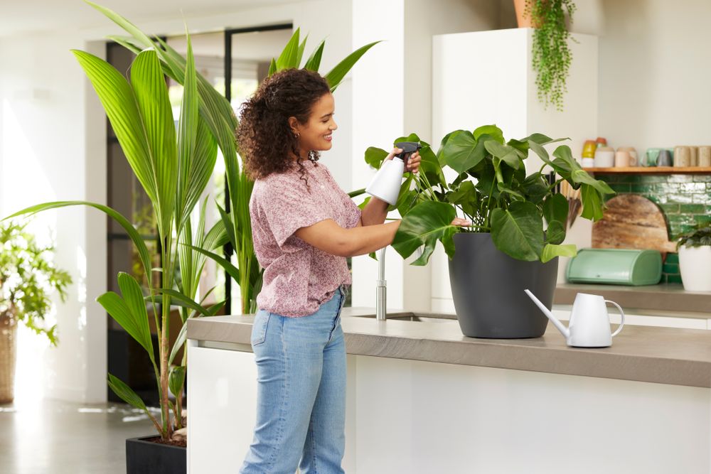 BNDL Brussels Arrosoir + Pulvé