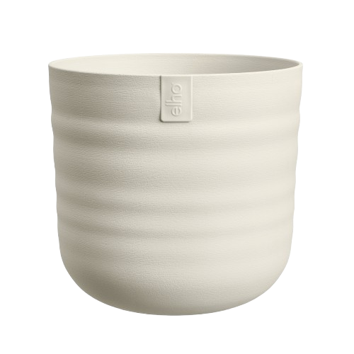 Dune Rond 25