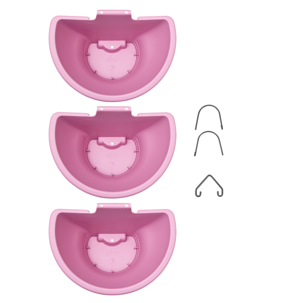 Corsica Forêt Vertical 24 Set/3