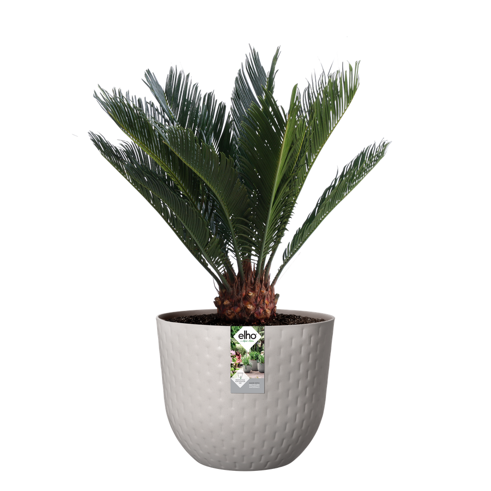 Fuente Grains Rond 30