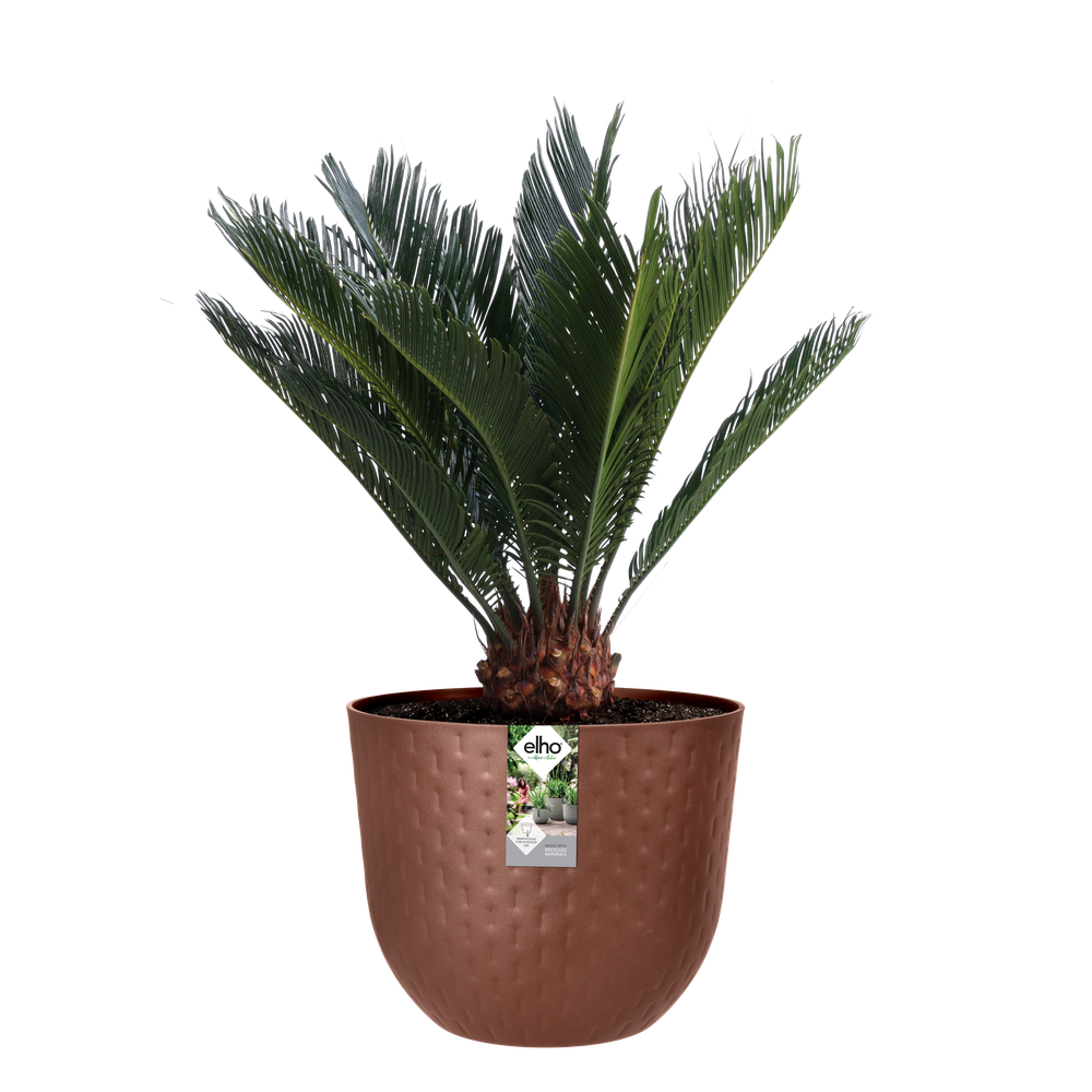 Fuente Grains Rond 30