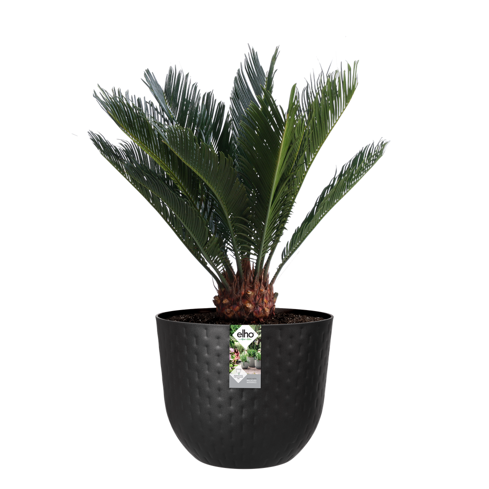 Fuente Grains Rond 47