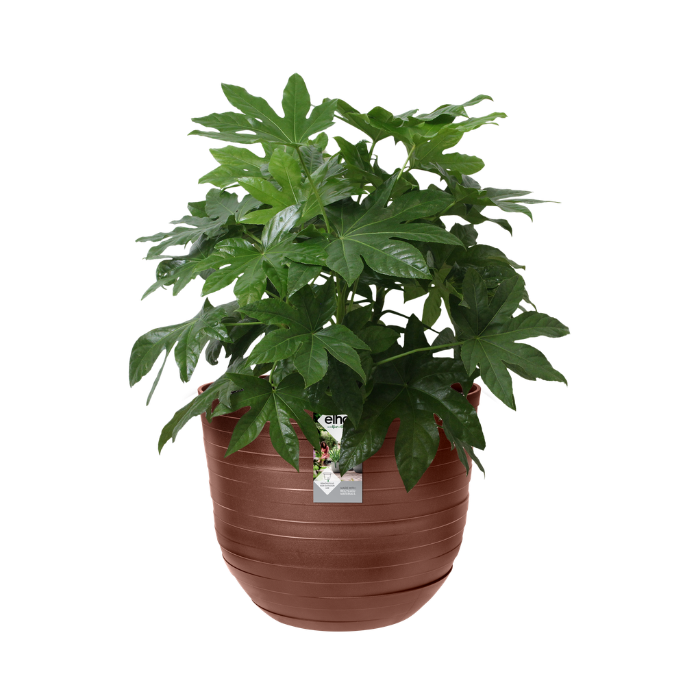 Fuente Rings Rond 47