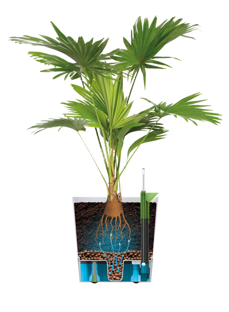 Greensense Aqua Care Carré 38