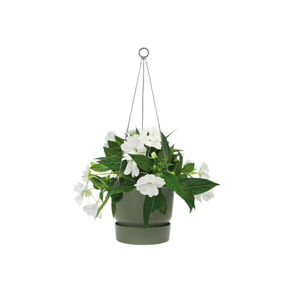 Greenville Suspension 24