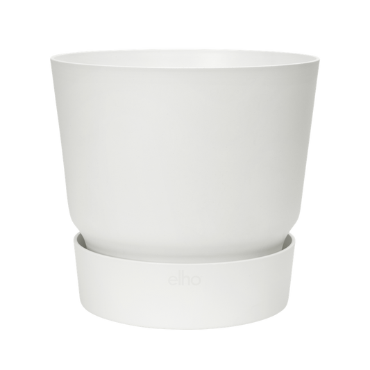 Greenville Rond 14